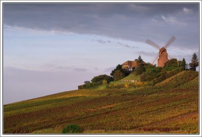 2007-10-11 / Guillaume1958
par Guillaume1958
