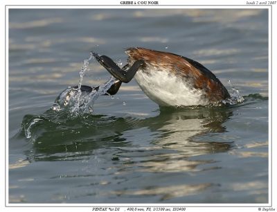 2007-12-03 / stephbe
par stephbe
