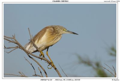 2007-12-22 / stephbe
par stephbe
