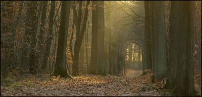 2007-12-02 / chd
par chd
