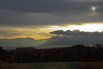 2007-12-06 / Gin.net
par Gin.net
