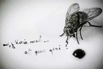 [Septembre - Octobre 2010] Cliché improbable / enggmaug
"Cliche improbable", enggmaug 
