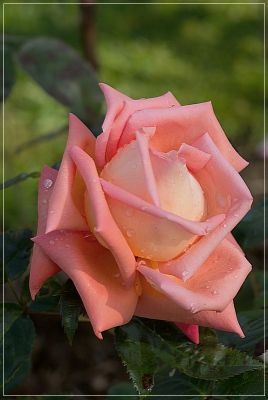 2007-11-02 / ToutenK10
par ToutenK10
