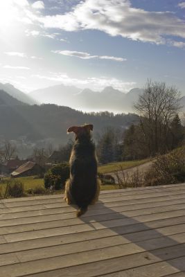 2008-01-05 / P30K100D
par P30K100D
