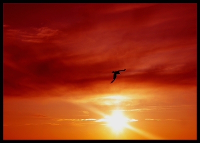 [ Juillet-Aout 2009 ] Rouge / nana63
"Rouge", nana63
