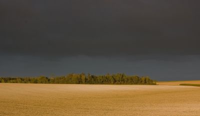 2007-09-16 / nikoniste5700
par nikoniste5700
