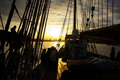 2007-11-11 / Magucan
par Magucan
