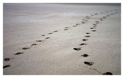 2007-11-28 / ergerg
par ergerg
