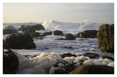 2008-01-10 / ergerg
par ergerg
