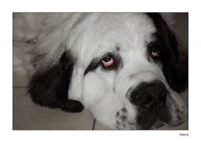 2007-11-25 / thv73
par thv73
