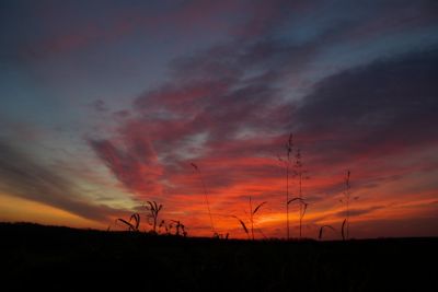 2007-11-26 / j&c
par j&c
