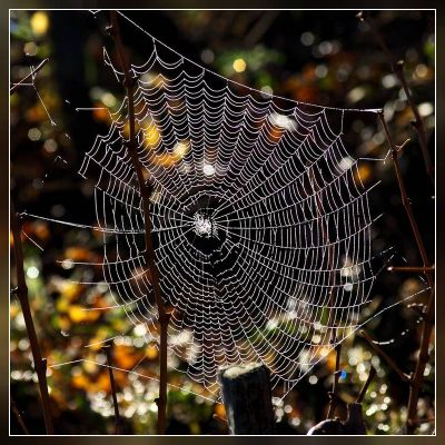 2007-12-08 / LeTaich11
par LeTaich11
