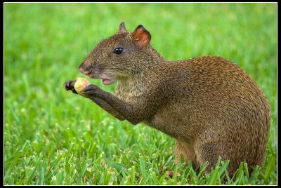 2008-01-13 / Goumite
par Goumite
