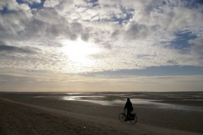 2008-01-16 / F
par F
