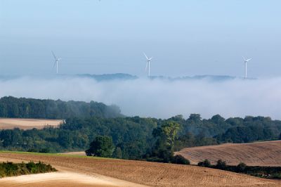 2007-09-09 / xav80
par xav80
