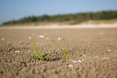 2007-10-10 / xav80
par xav80
