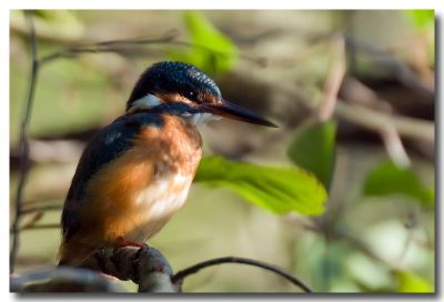 2007-10-01 / Olivier_D
par Olivier_D
