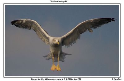 2007-11-23 / stephbe
par stephbe
