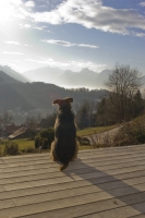 Nom du fichier=4711da00e0b0cf3e59dda46696eff.jpg
Taille du fichier=137Ko
Dimensions : 534x800
Ajouté le : 05 Janvier 2008 4711da00e0b0cf3e59dda46696eff.jpg