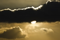 Nom du fichier=IMGP7723.jpg
Taille du fichier=48Ko
Dimensions : 800x535
Ajouté le : 04 Janvier 2008 IMGP7723.jpg