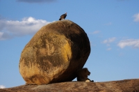 Nom du fichier=imgp9622.jpg
Taille du fichier=184Ko
Dimensions : 1024x680
Ajouté le : 22 Novembre 2010 imgp9622.jpg