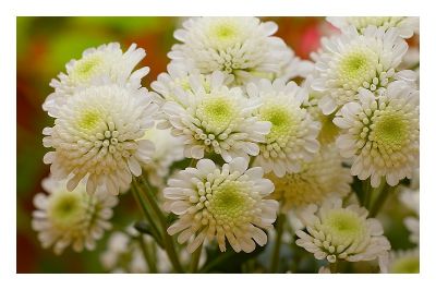 2008-02-03 /  patanock
Par: patanock

