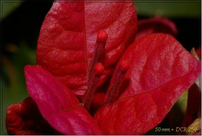 2008-02-06 / Quintamoja 
Par: Quintamoja 

