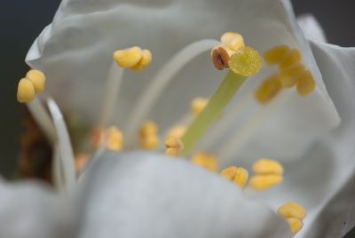 2008-04-16 /  ParacetAmol
Par: ParacetAmol
