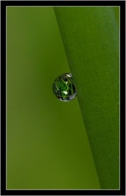 2008-11-07 / nana63
Par: naanaa6334 -[ Gouttes ]-
