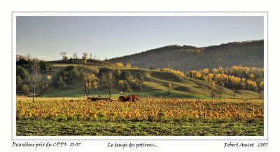 2008-03-14 / ramiot
Par: ramiot
