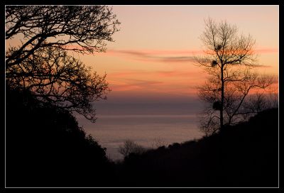 2008-02-12 / codenssen
Par: codenssen

