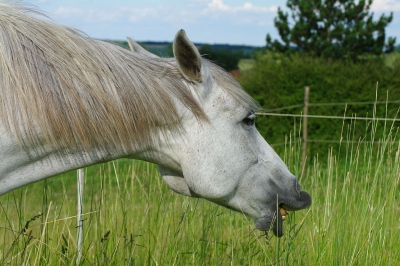 2008-06-13 / hifrane
Par: hifrane 
