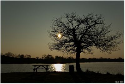 2008-02-18 / Toutenk10
Par: Toutenk10
