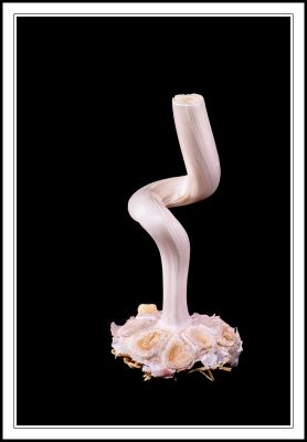 2008-03-04 / LeTaich11
Par: LeTaich11
