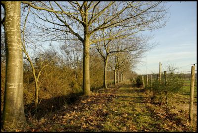 2008-01-27 /  eldoctor.Sylvain
Par: eldoctor.Sylvain

