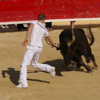 2009-05-10 /  kapoky
Par: Miss kapoky -- (Vos series) Courses Camarguaises de Mauguio-
