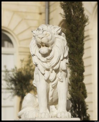 2008-02-04 /  macmini95
Par: macmini95
