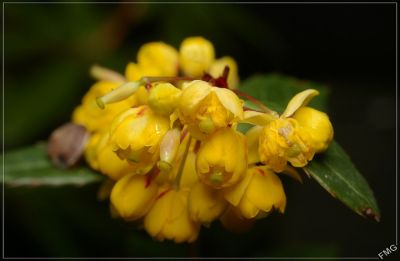 2008-03-15 / FMG
Par: FMG
