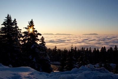 2010-02-18 / joupil 
Par : joupil   [ Neige, givre ] 

