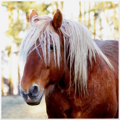 2008-01-29 /  chamcham
Par: chamcham

