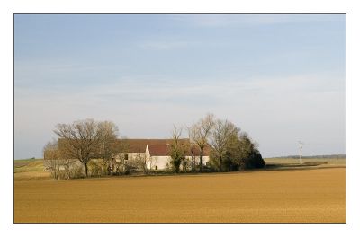 2008-02-29 / Chaton
Par: Chaton 

