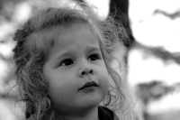 Nom du fichier=imgp1296.jpg
Taille du fichier=187Ko
Dimensions : 800x532
Ajouté le : 21 Avril 2009 imgp1296.jpg