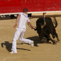 Nom du fichier=imgp2630.jpg
Taille du fichier=199Ko
Dimensions : 800x800
Ajouté le : 06 Mai 2009 imgp2630.jpg