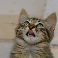 Nom du fichier=imgp3366.jpg
Taille du fichier=189Ko
Dimensions : 800x796
Ajouté le : 20 Mai 2009 imgp3366.jpg