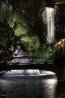 Nom du fichier=lasvegas22.jpg
Taille du fichier=191Ko
Dimensions : 533x800
Ajouté le : 19 Septembre 2010 lasvegas22.jpg