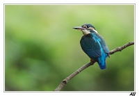 Nom du fichier=post-13-1281727108.jpg
Taille du fichier=168Ko
Dimensions : 752x521
Ajouté le : 13 Août 2010 post-13-1281727108.jpg