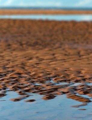 2008-06-22 / micoulou
Par : micoulou
