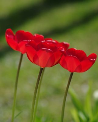 2008-05-17 / Pixel
Par : Pixel
