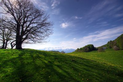 2008-05-11 / fred_73
Par : fred_73
