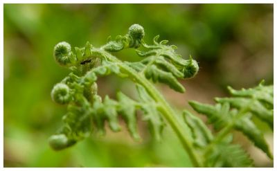 2008-05-07 / neosilencers
Par: neosilencers
